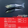 Daiwa Sea Bass Lure More Than Lazy Fashad J170.5S Chart