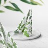 Paw Lunch Napkins Design Herbal Taste Collection Food Paw