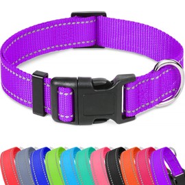 Taglory Reflective Adjustable Dog Collars for Puppy Small Medium Large Dogs, Thin Nylon Webbing and Quick Release Plastic Buckle(Purple, XSmall)