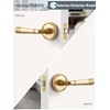 SORWDUERM 1 Pack Gold Door Lever Passage Door Levers Brushed