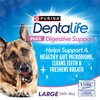 Dentalife Purina Plus Digestive Support Chicken and Pumpkin Flavor Large