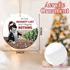 Cat Ornaments for Christmas Tree Cat Animals Christmas Ornament for Home Merry Xmas Gifts for Kitten Animal Lovers Family Friends 3 X 3 Inches