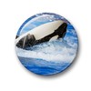 03 Orca Killer Whale Sea Creatures Large Fridge Magnets Set