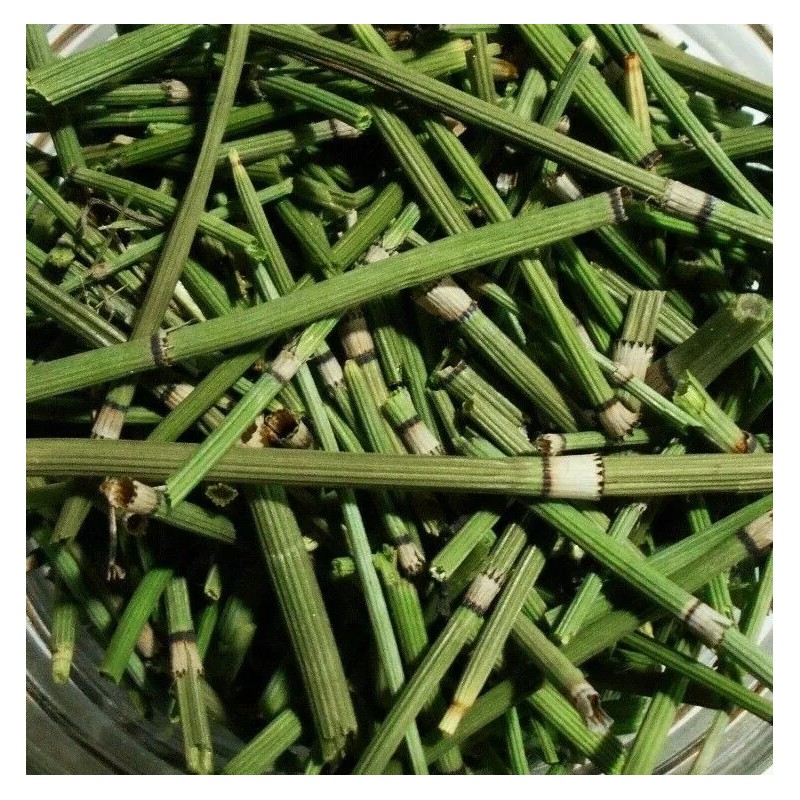 MAJCKA4 COLA DE CABALLO ½ oz. ENTERO Hierbas HORSETAIL SHAVEGRASS