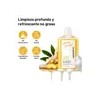 Champú Anticaída Quarxery Shampoo De Jengibre 240 Ml
