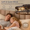VOLISUN Caged Ceiling Fan with Light and Remote,19.7 inch Fandelier