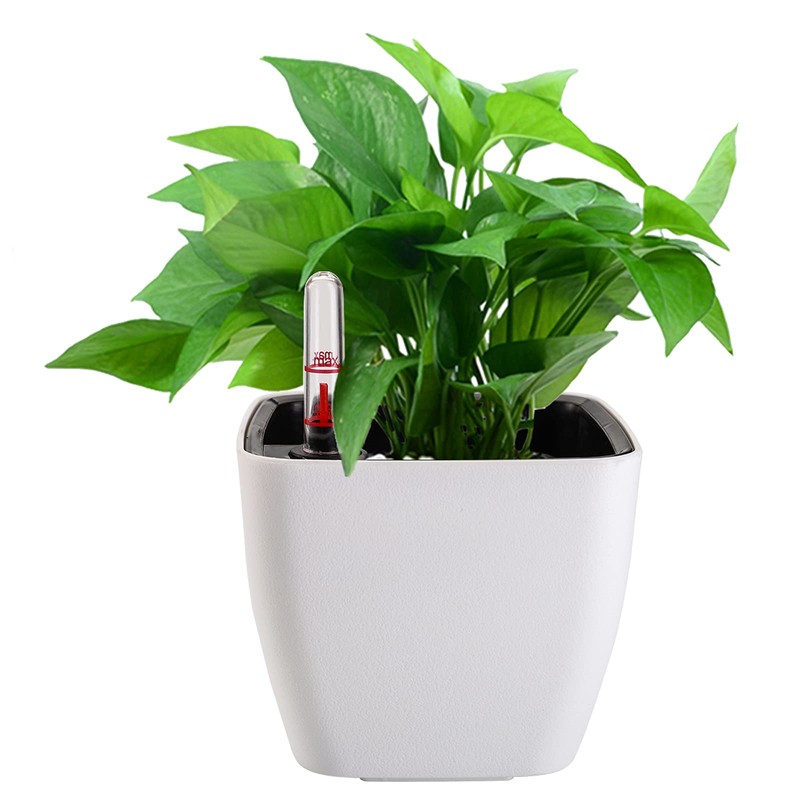 yarlung 6 Pack Self Watering Planter with Water Level Indicator,