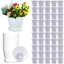 Tergy Paquete de 50 Macetas para Plantas de 4 Pulgadas a Granel Macetas Pequeñas de Plástico con Agujeros de Drenaje Maceta para Flores para Suculentas, Cactus, Hierbas, Violeta Africana (50 unidades