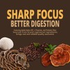 Mushroom Coffee K Cup – Focus & Gut-Health with 14-Mushrooms,