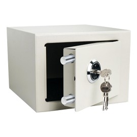 DreamsEden Small Steel Safe Box with Key Lock, Steel Security Safety Box with Keys for Personal Document Cash Jewelry 0.32 CU General Home Use 9.5 x 9 x 6.5 in (White)