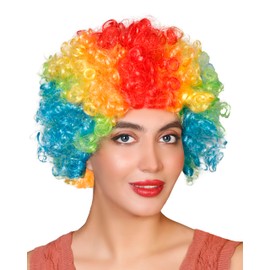 Unisex Clown Wig Circus Funny Fancy Party Dress Accessory Afro Stag Do Fun Joker (Multicolored/Rainbow)