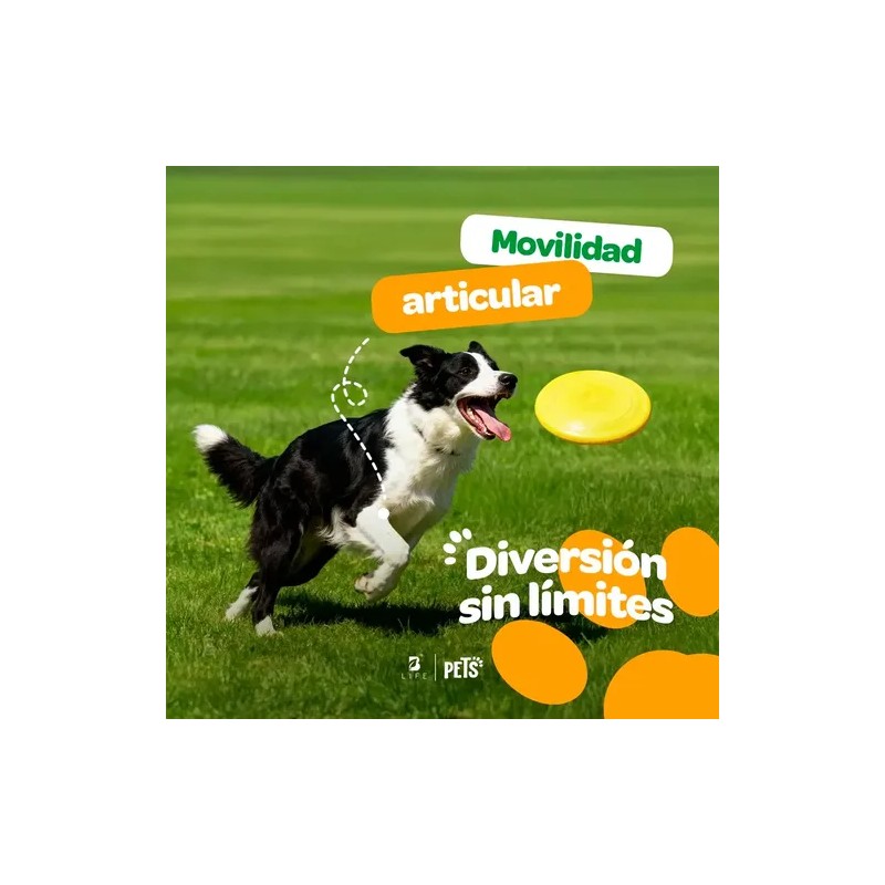 Suplemento B Life Joint Force Colágeno Cápsula 416g