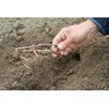 PROTECT HOME Vole Trap, Wire Trap, Bavarian Impact Trap for