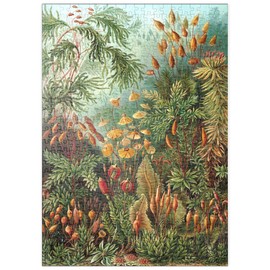 MyPuzzle Moss (Muscinae) - Art Forms in Nature, Vintage Art Poster, Ernst Haeckel - Premium 500 Piece Puzzle - MyPuzzle Special Collection by Havana Puzzle Company