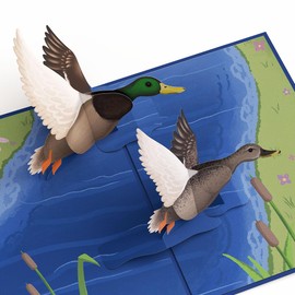 Lovepop Everyday Pop-Up Card for Her and Him - 3D Greeting Cards for Boys, Girls, Men, Women - Pondside Mallard Ducks -5" x 7" Bird Card - Blank Notecard and Envelope Included