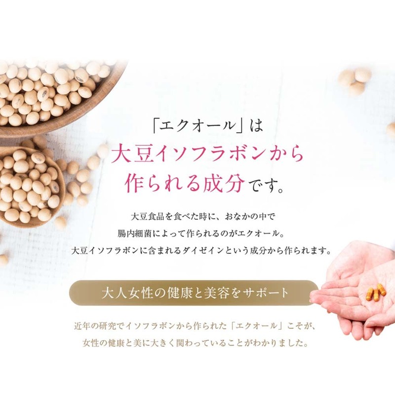エクオール N／ ラクトビオン酸 (90粒 約1ヶ月分）【大人女性のお悩みに 女性らしさを保つ】 サプリ 大豆イソフラボン ラクトビオン酸 配合