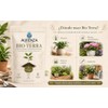 Aurenza Bio Terra Sustrato Enriquecido Humus 500 Favorece Desarrollo Saludable