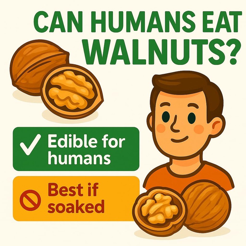 Crazy Nuts | California Grown Whole Walnuts In Shell, 10lb