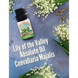 Flora Aromatics Lily of The Valley Absolute Oil (Convallaria majalis) 0.33 fl oz/ 10 ml