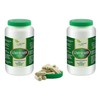 VITAIDEAL VEGAN® "SPAT-POT" Dandelion Root (Traxacum Officialae) 2 x 360