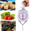 Spring Hanging Dial Scale,440lbs Industrial Hanging Scale,Spring Mechanical Hanging Scale