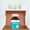 BIOSUPLE | Moringa con Té Verde y Vitamina C. –