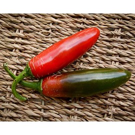 Sport Pepper Premium Seeds for Planting Packet Record Hottest in The World + More