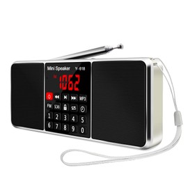LEFON Multifunction Digital FM Radio Media Speaker MP3 Music Player Support TF Card USB Drive with LED Screen Display and Setting Timing Shutdown Function (Golden)