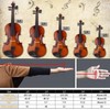 Acoustic Violin 4/4, Full Size Violin, Violin Kit with Case,
