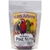 Sleek & Sassy Pine Nuts for Birds (10 oz.)
