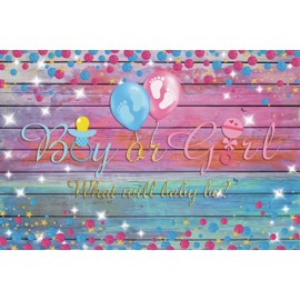 Gender Reveal Backdrop Boy or Girl Sign What Will Baby Be Baby Shower Photography Banner Pink and Blue Baby Shower Gender Reveal Party Decorations