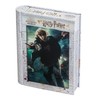 Philos 9043-3D Puzzle Ron Weasley in Collector's Box, 300 Pieces,