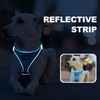 haapaw Dog Harness with Leash Set, No Pull Adjustable Reflective