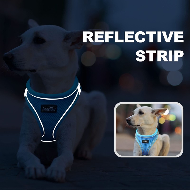 haapaw Dog Harness with Leash Set, No Pull Adjustable Reflective