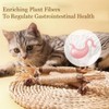 HUIQIHANG 4-Pack Natural Silvervine Cat Chew Sticks, Interactive Catnip Toys