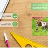 Clever Pool Postcards with Funny and Sweet Animals, for Postcrossing