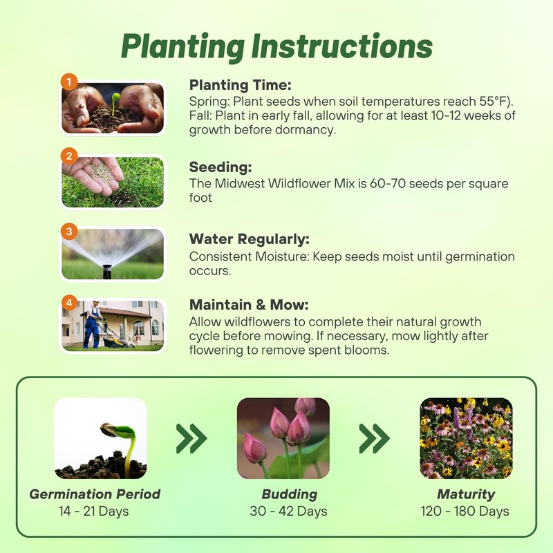 Outsidepride Midwest Wildflower Seed Mix - 1/4 Lb Premium Blend