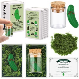 Yinkin Christmas Emotional Support Pickle Gifts for Coworker Employee Appreciation Gifts Positive Gifts Christmas Inspirational Gifts Thank You Gifts for Teacher Staff Coworkers Staff Office