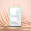 rokkiss 티트리 그린 큐어 스팟 패치 240매입 Rokkis Tea Tree