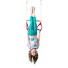 DreamGYM Trapeze bar and Gymnastics Rings Combo RED