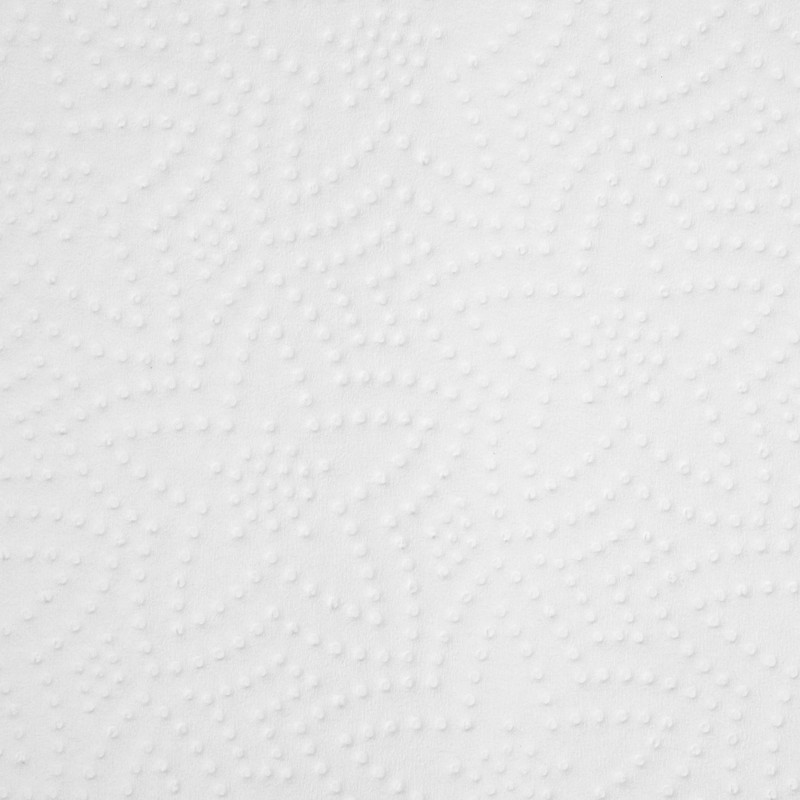Blake & White 3ply Kitchen Roll | Pack of 2