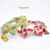 Faygarsle 2 Pack Cute Cat Collar with Bell Breakaway Bowtie