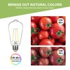Sigalux EcoBright, T20 Compliant LED Edison Light Bulbs,E26 LED Bulb