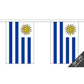 Uruguay Bunting (30 flags) 9m
