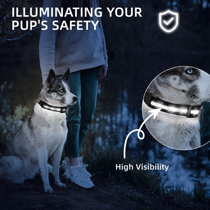 PetIsay Light up Dog Collar - High Visibility & Durable