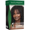 Naturigin Permanent Hair Color, 2.0 Black, Ammonia Free, 100% Gray