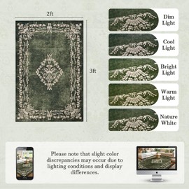 FlyDOIT Small Entryway Rug 2x3 Washable Area Rugs for Bathroom, Green Vintage Boho Distressed Door Mat, Non-Slip Soft Low Pile Indoor Entrance Floor Carpet for Kitchen College Dorm Office Decor