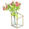 Mini Glass Storage Container Flower Pot Planter Vase Bowl Home