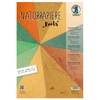 Ursus 61610005 Natural Paper Roots, 10 Sheets, in Various Sizes,