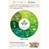 Moringa Tea, Made in Japan, Caffeinated in Kagoshima Prefecture, No